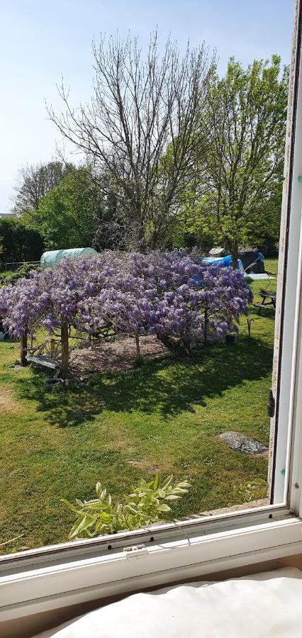 Bed and Breakfast Wisteria House à Chanteloup  Extérieur photo