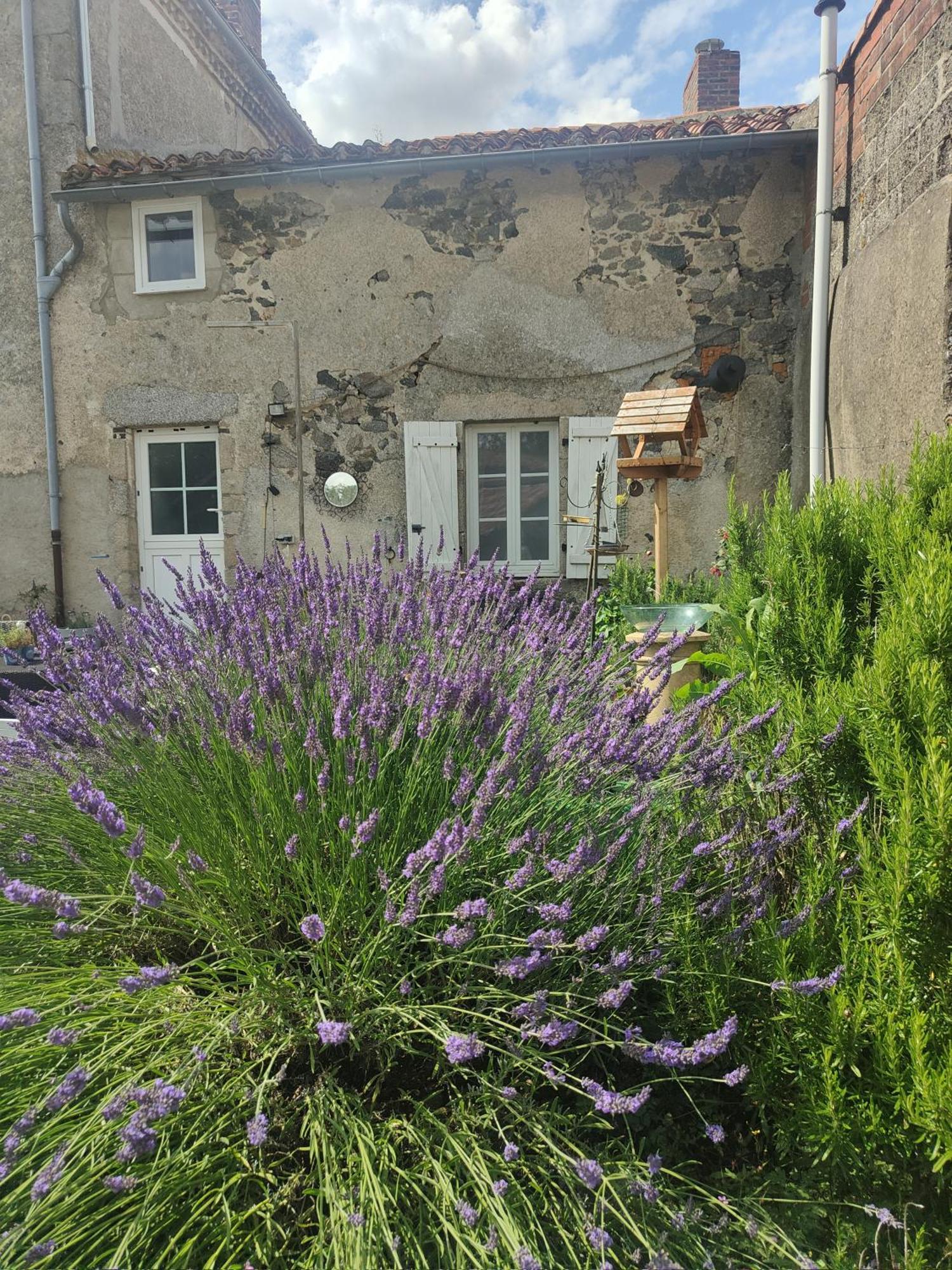 Bed and Breakfast Wisteria House à Chanteloup  Extérieur photo