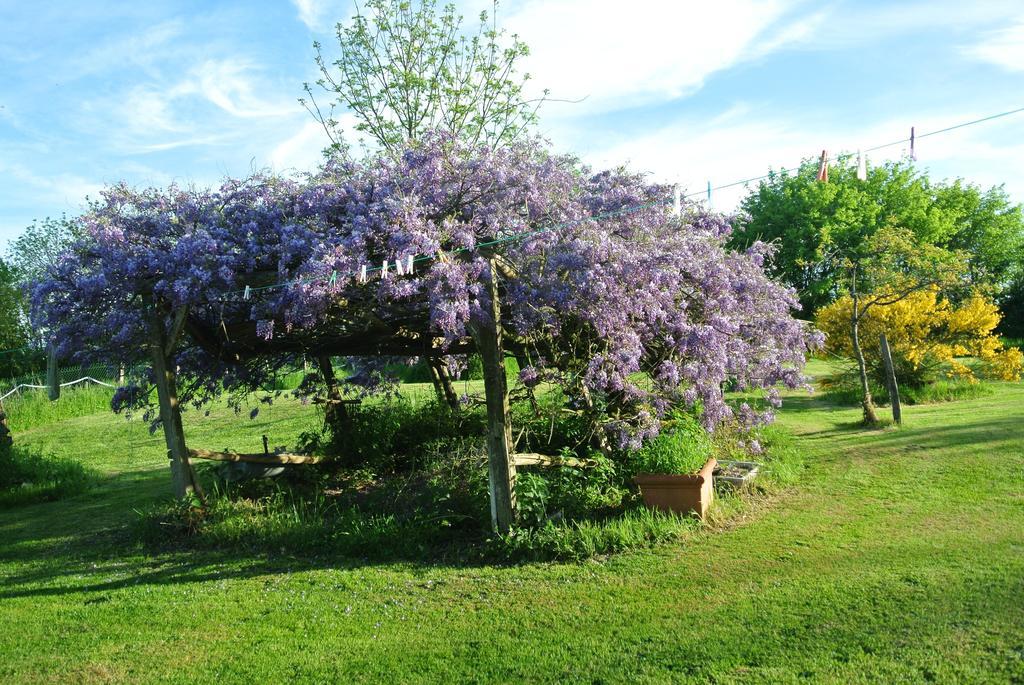 Bed and Breakfast Wisteria House à Chanteloup  Extérieur photo